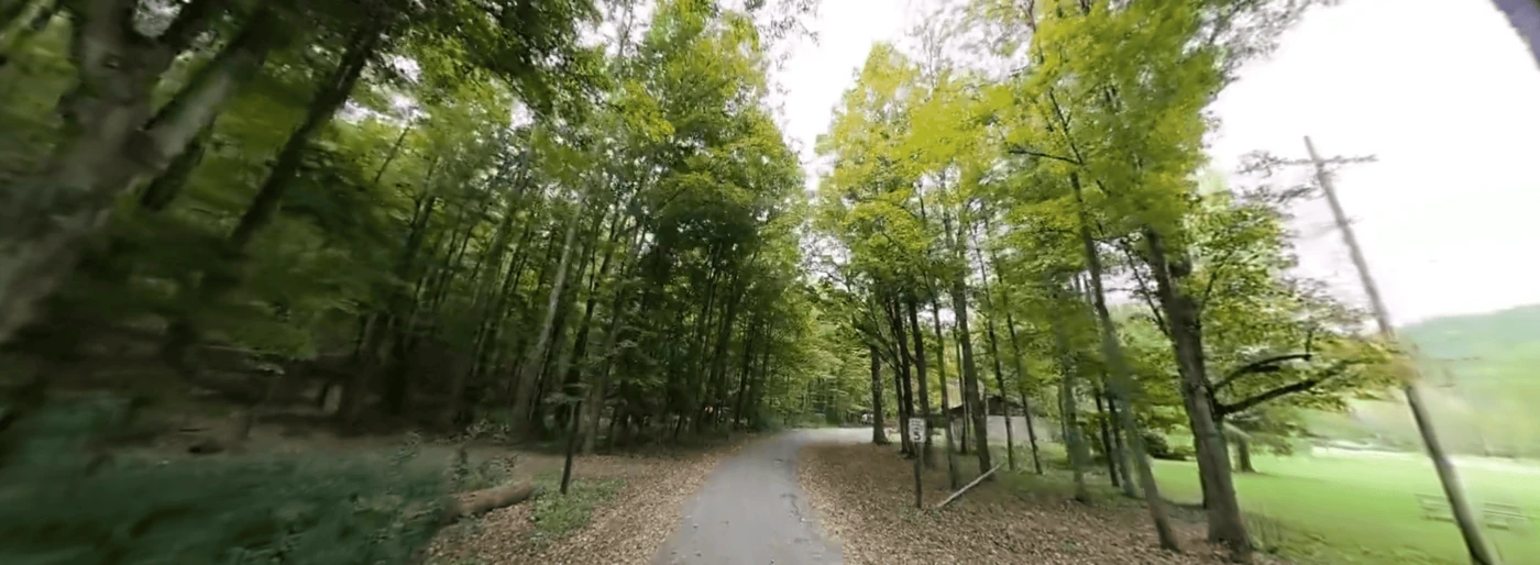 Robert H. Treman State Park