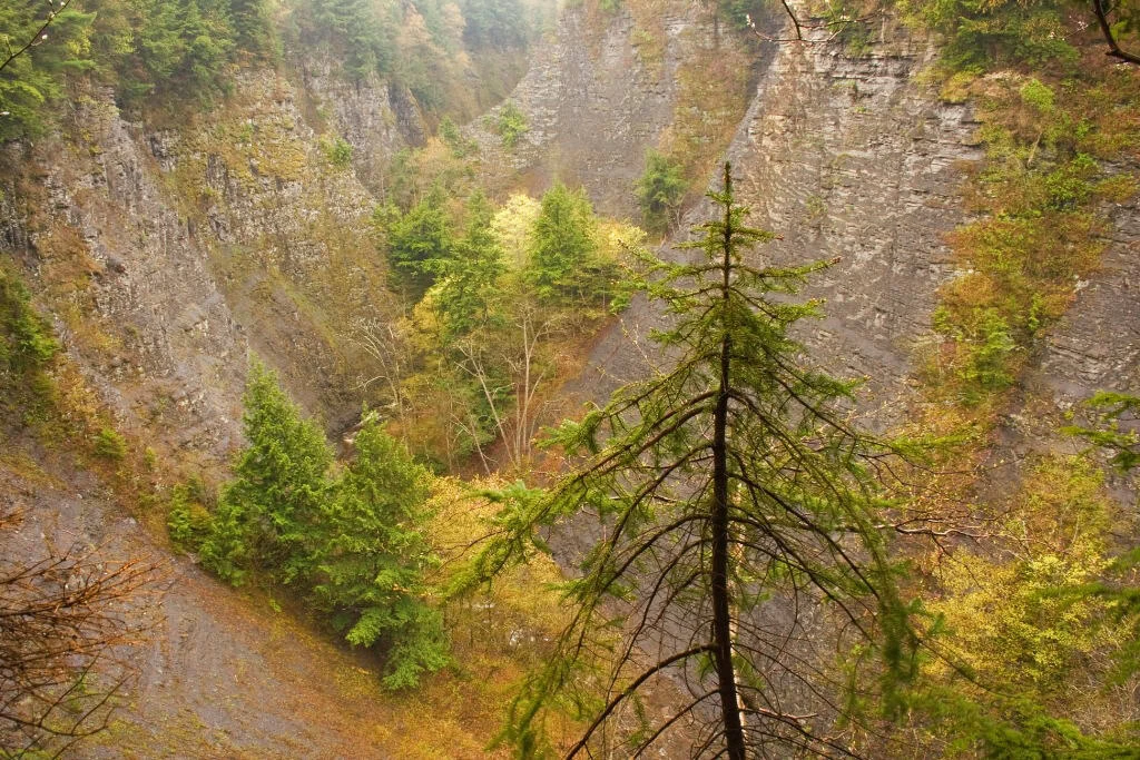 Whetstone Gulf State Park