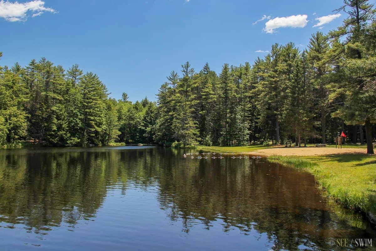 Otter River State Forest
