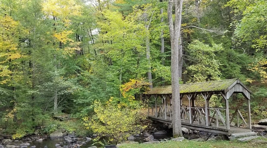 Willard Brook State Forest
