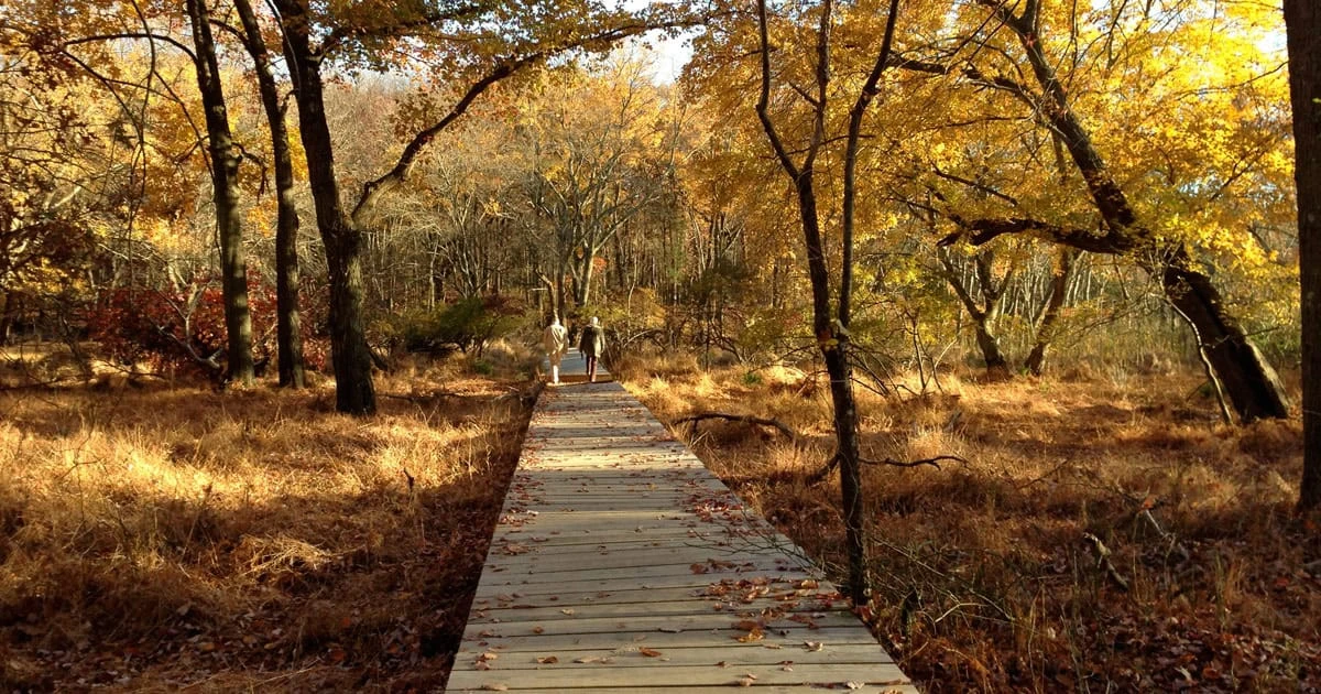 Cheesequake State Park