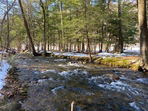 Fowlers Hollow State Park