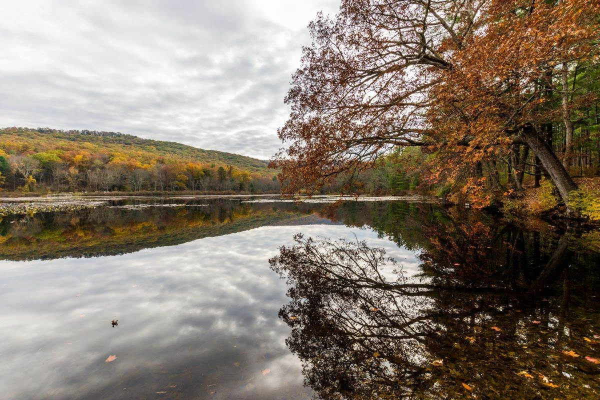 Pine Grove Furnace State Park