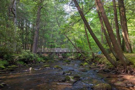 Reeds Gap State Park