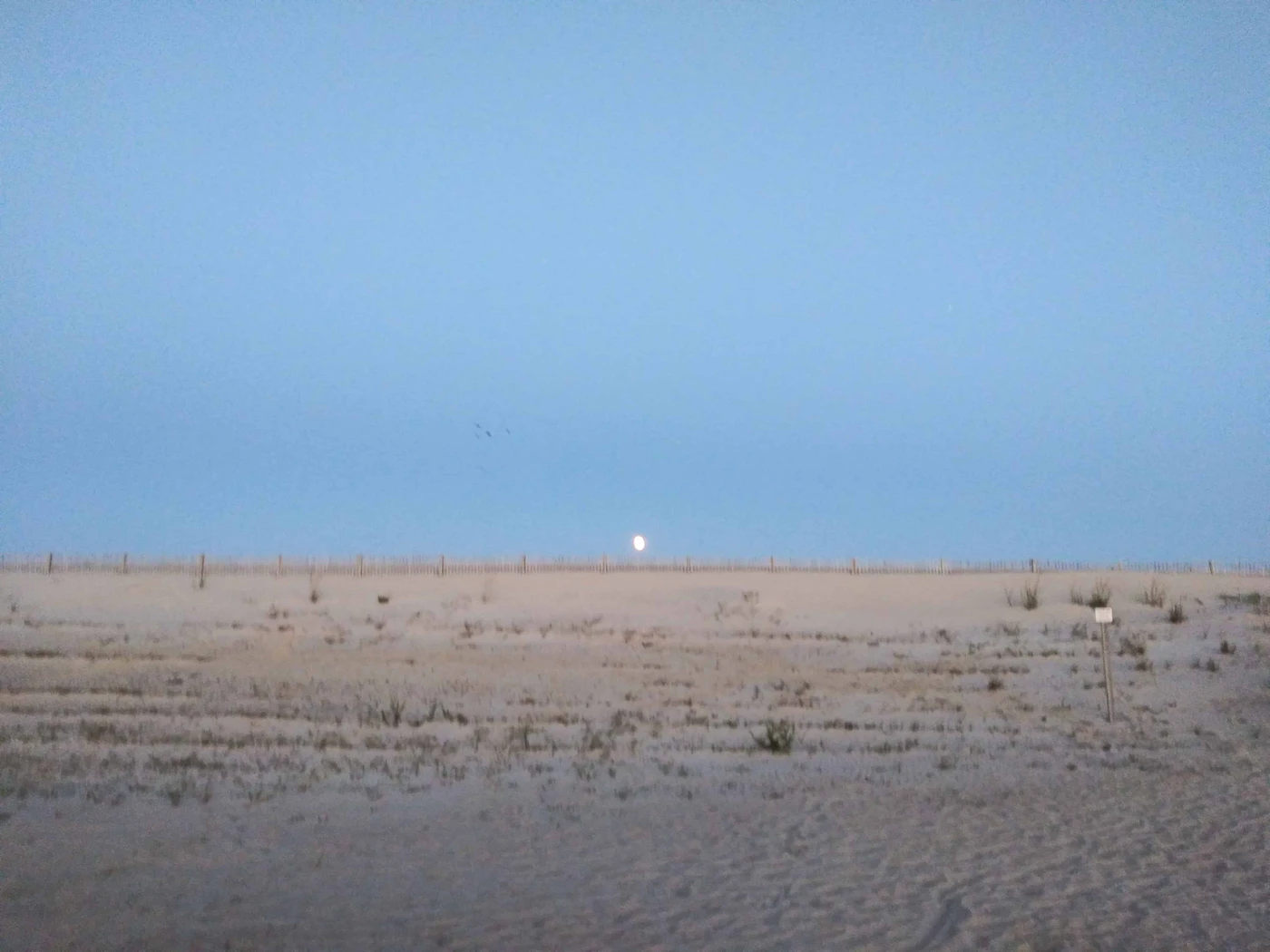 Assateague State Park