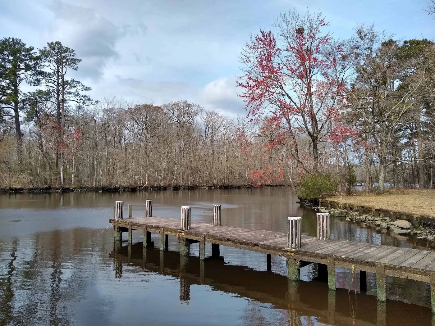 Pocomoke River State Park - Shad Landing