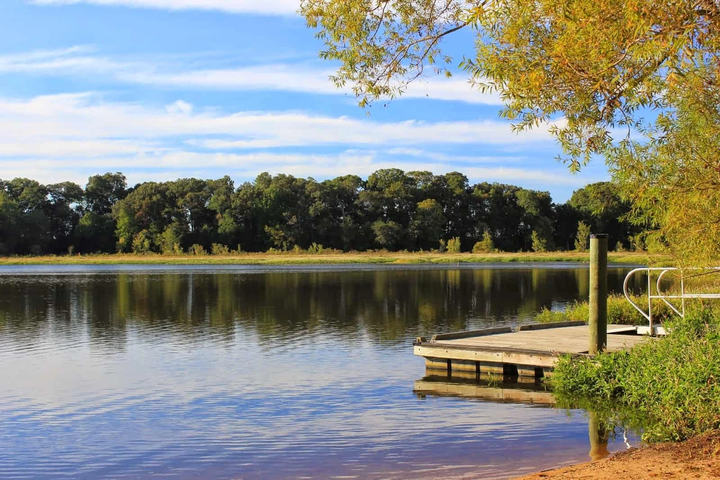 Tuckahoe State Park