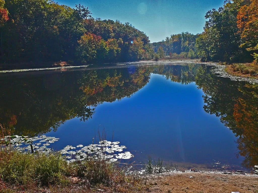 Cedarville State Forest