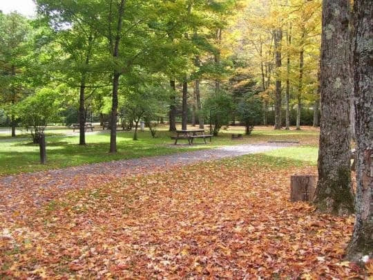 New Germany State Park