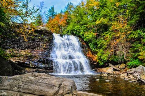 Swallow Falls State Park
