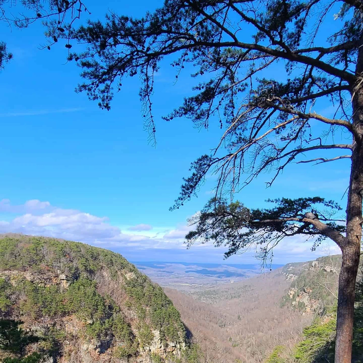 Cloudland Canyon State Park
