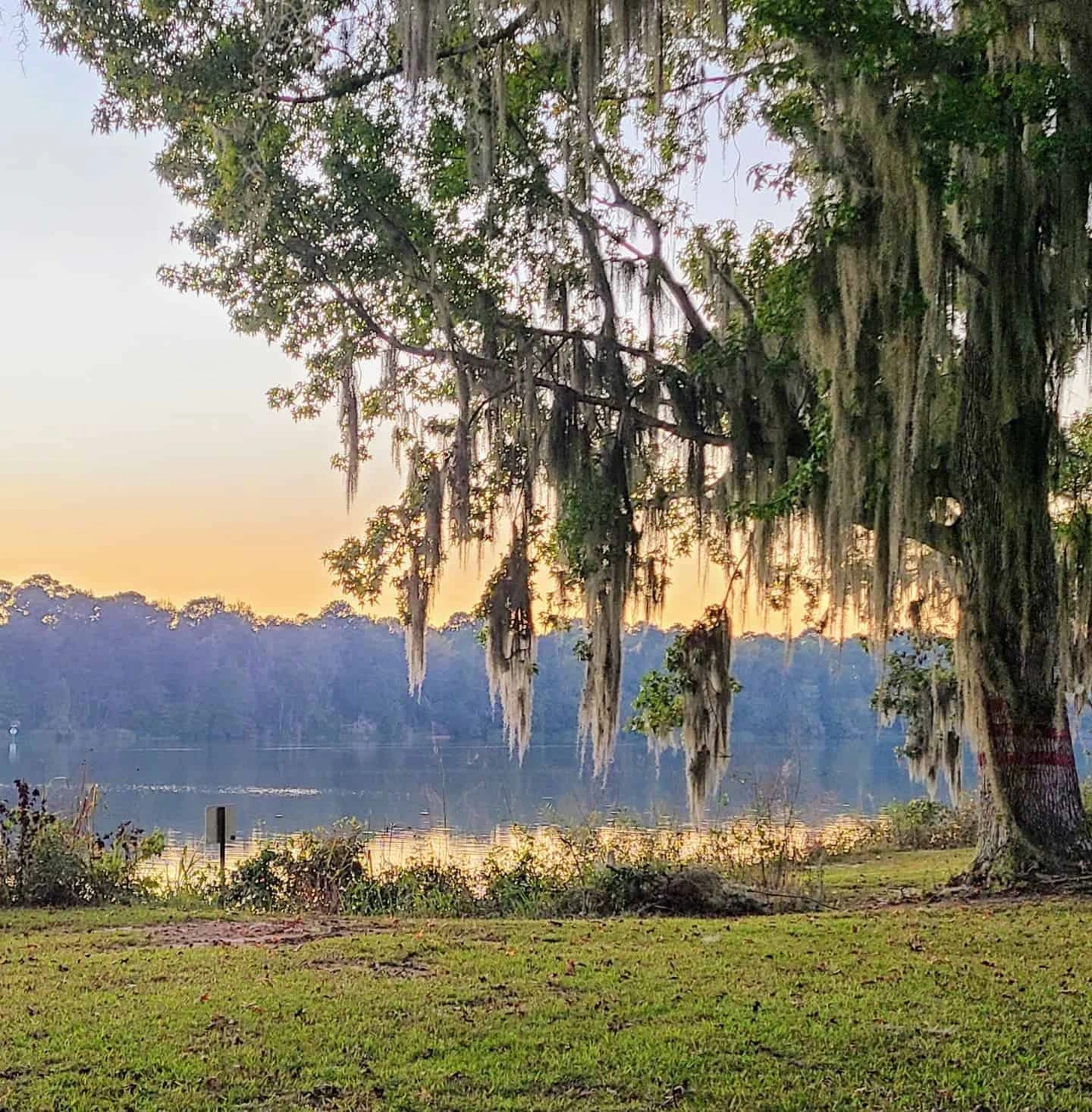 Florence Marina State Park