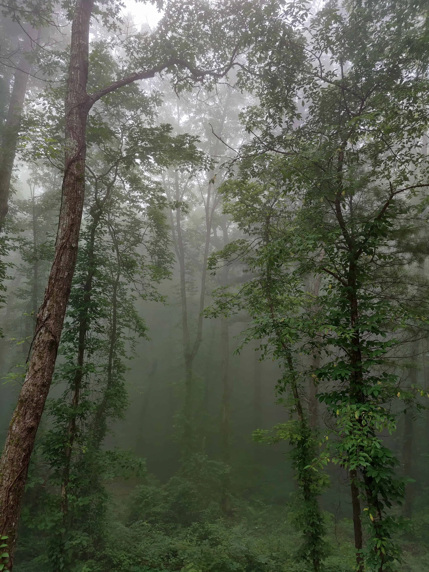 Fort Mountain State Park
