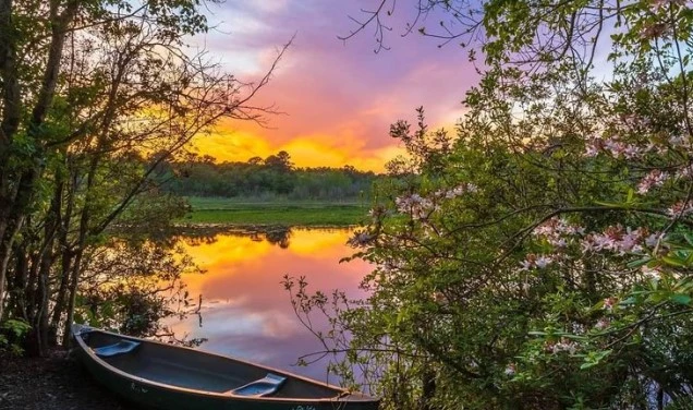 Reed Bingham State Park
