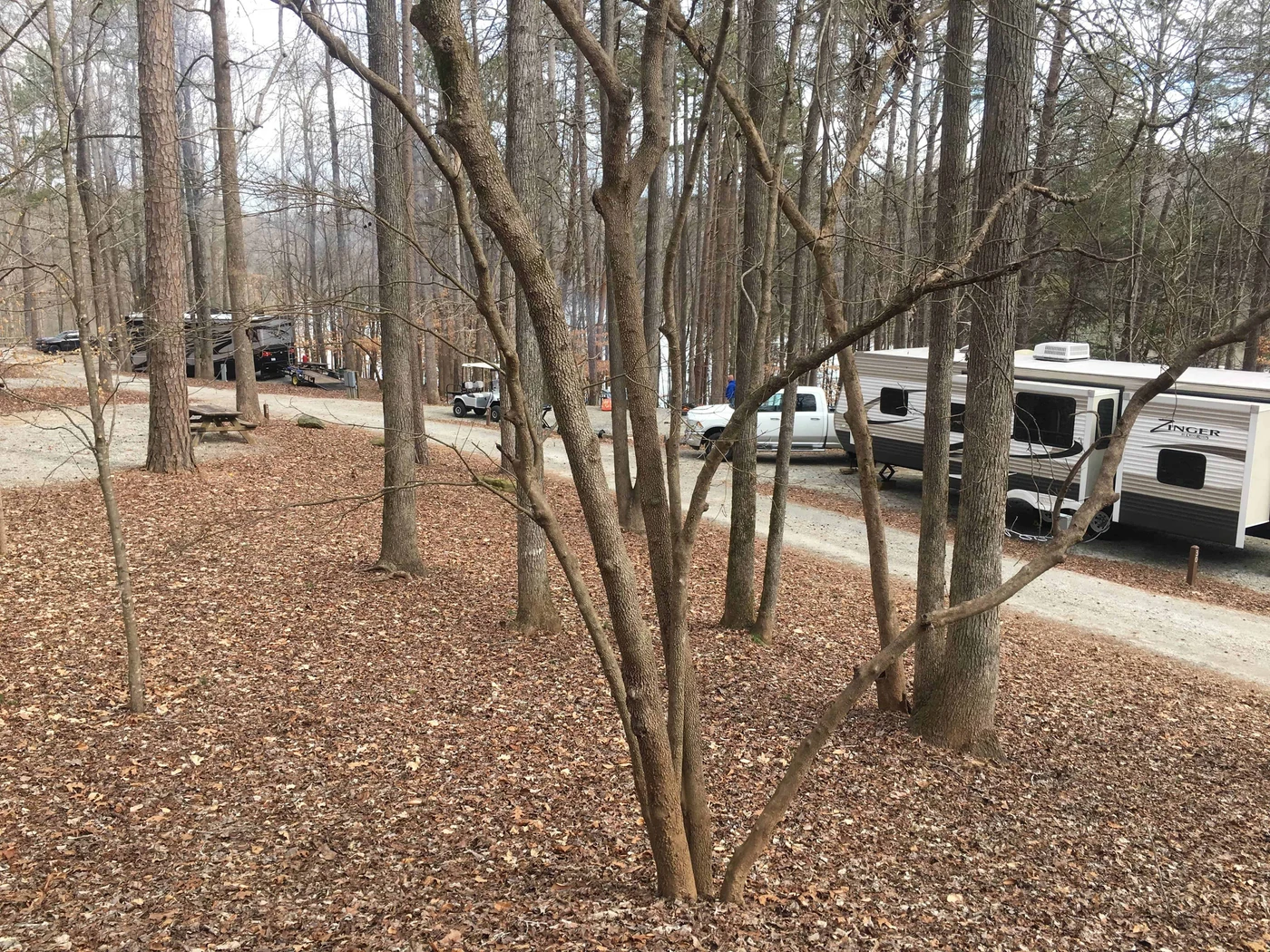 Croft State Park