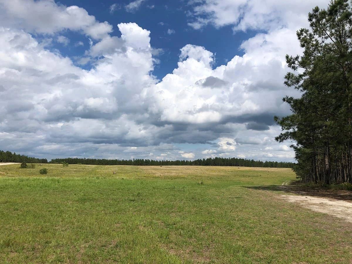 H. Cooper Black Jr. Memorial Field Trial and Recreation Area