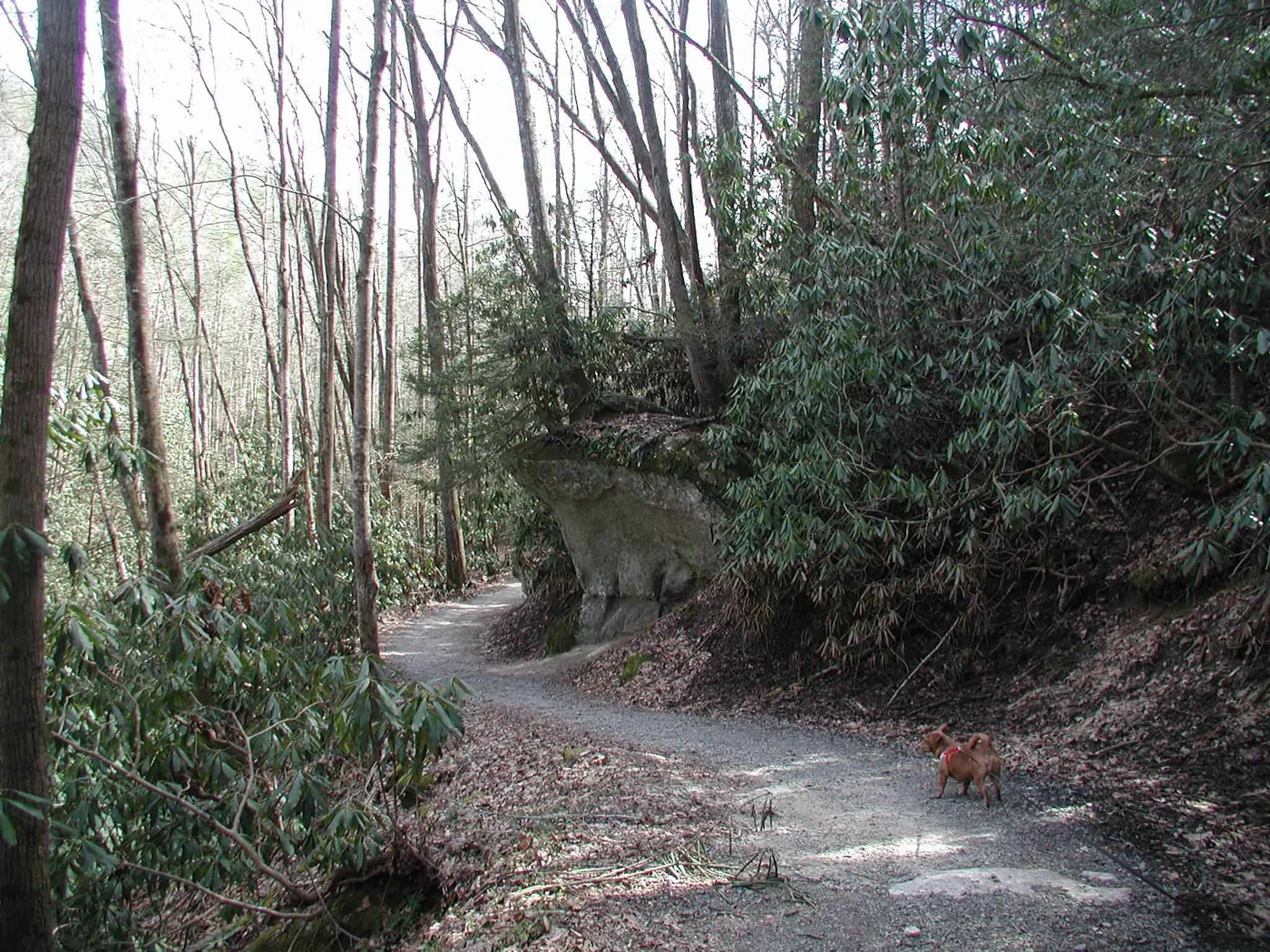 Stone Mountain State Park