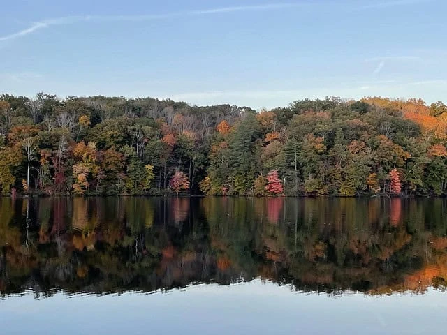 Fairy Stone State Park