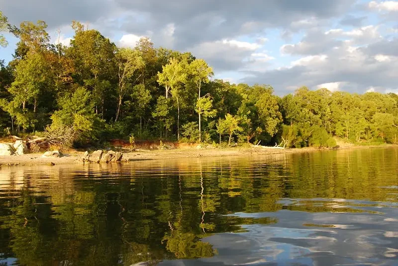 Occoneechee State Park - Equestrian