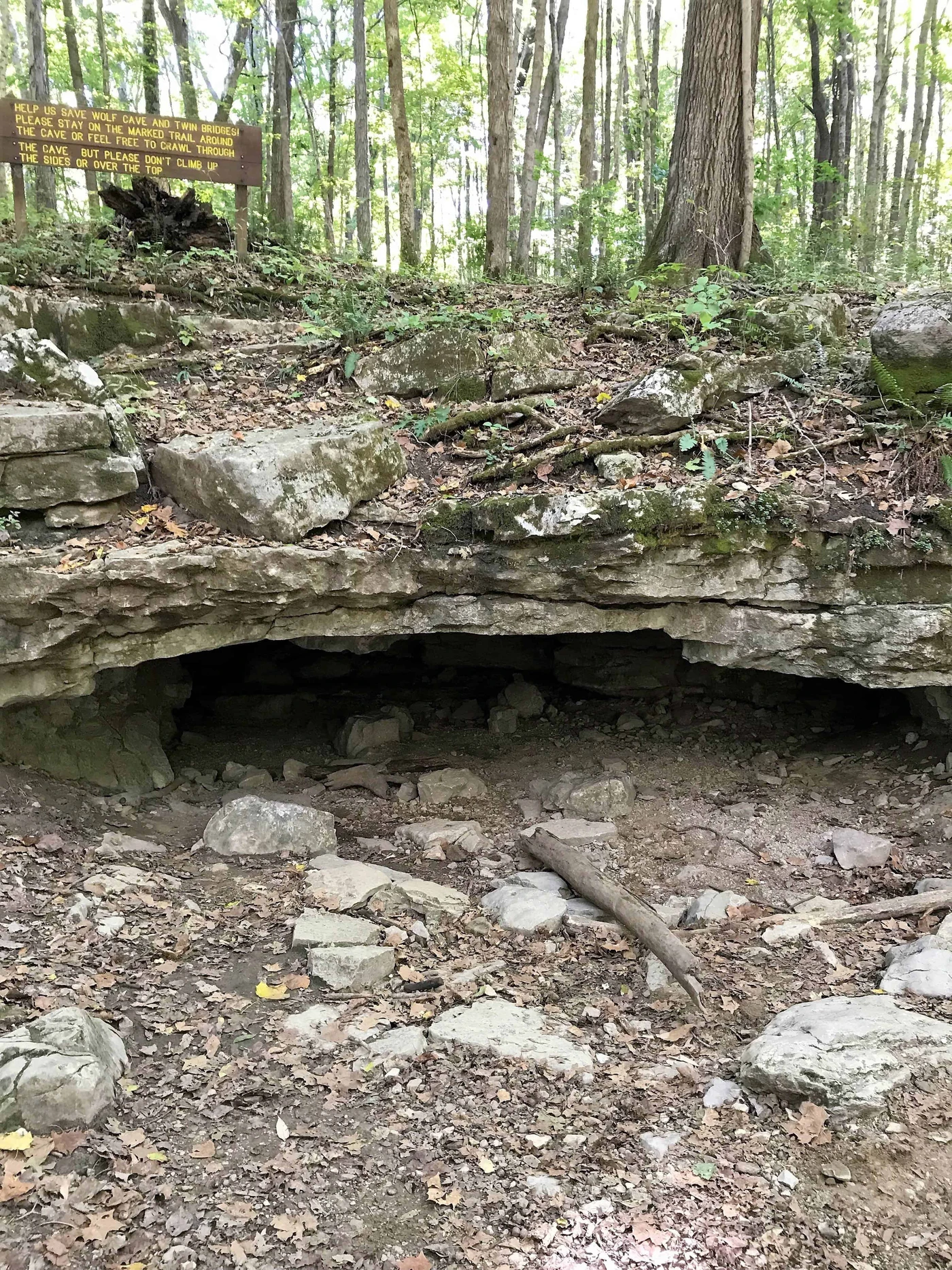 McCormick's Creek State Park