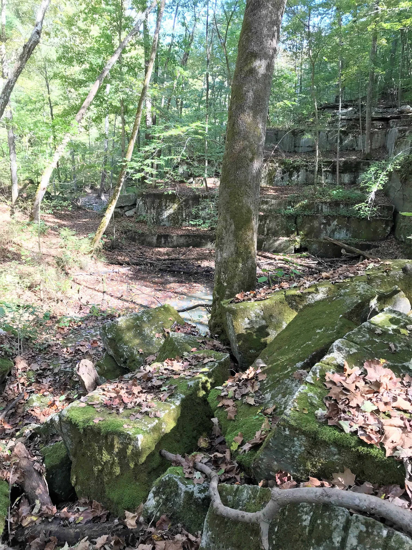 McCormick's Creek State Park