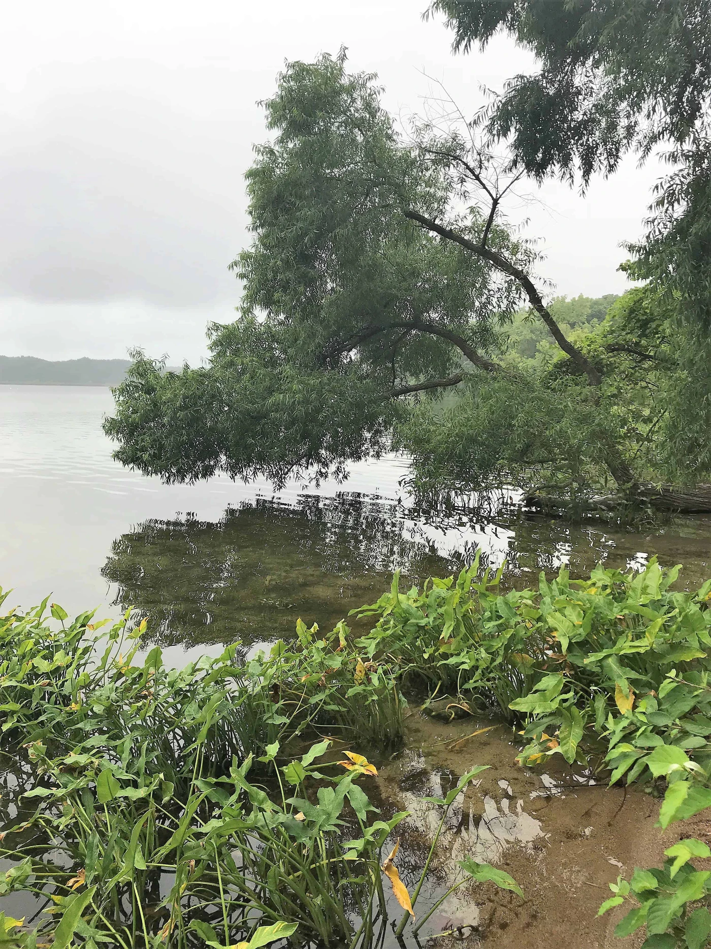 Pokagon State Park