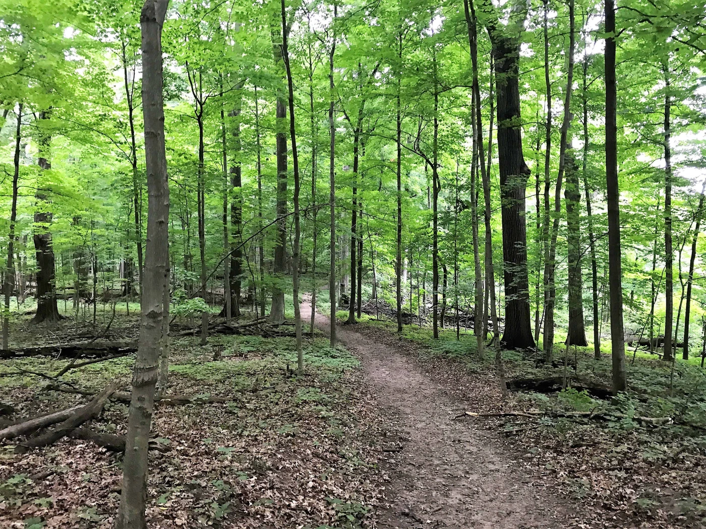Pokagon State Park