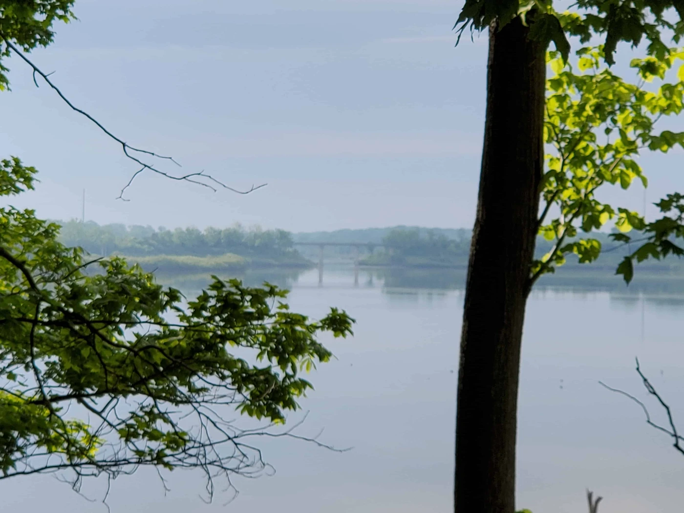J. Edward Roush Fish and Wildlife Area