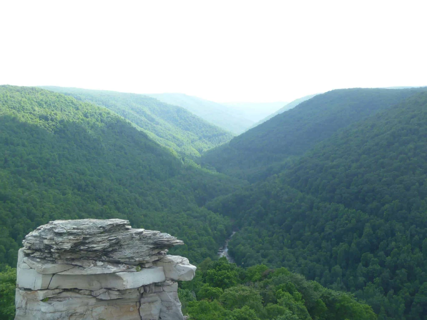 Blackwater Falls State Park