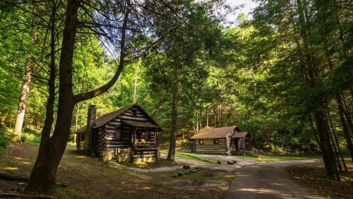 Cabwaylingo State Forest