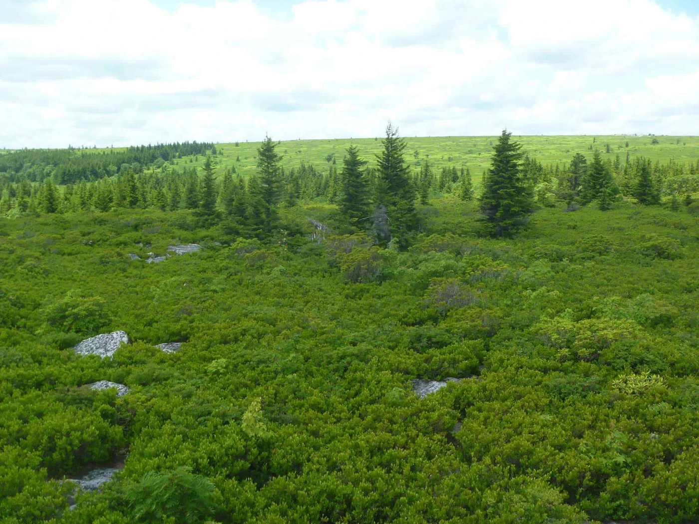 Canaan Valley Resort State Park