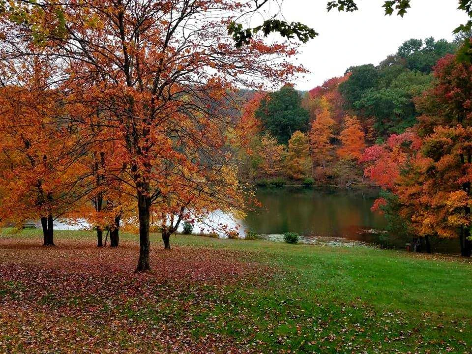 Tomlinson Run State Park