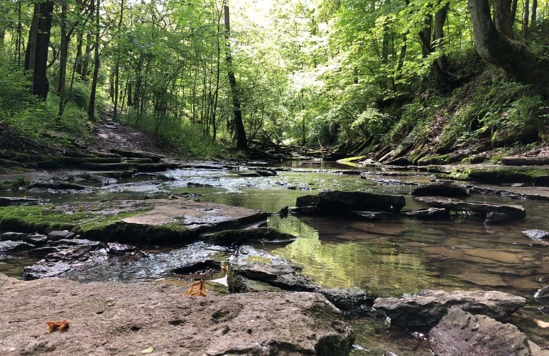 East Fork State Park - Section C