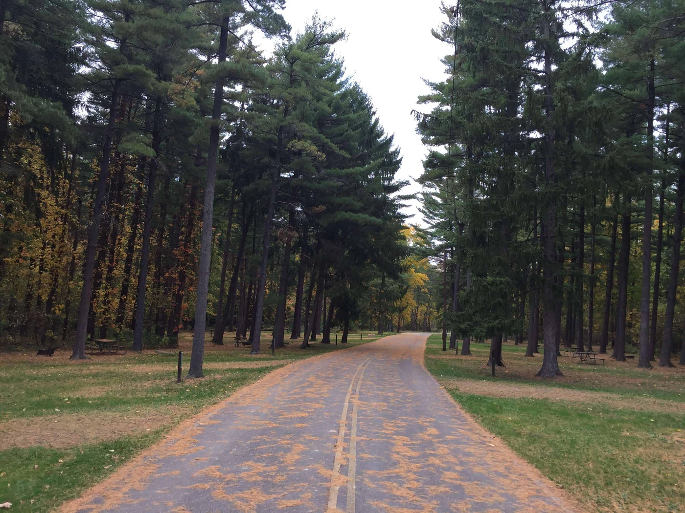 Findley State Park