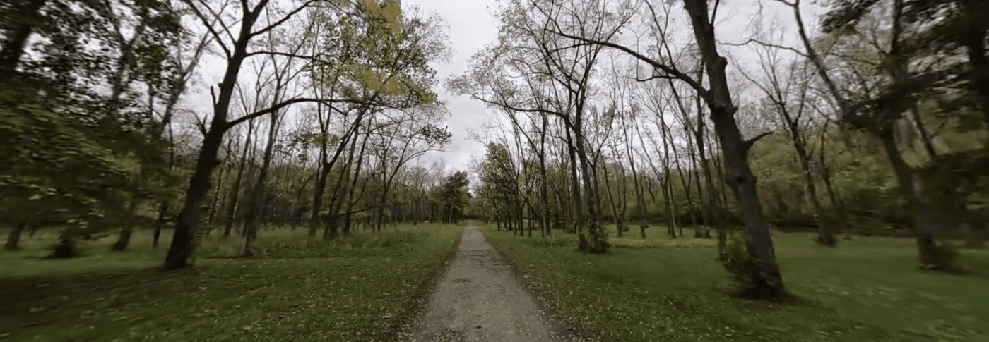 Hueston Woods State Park