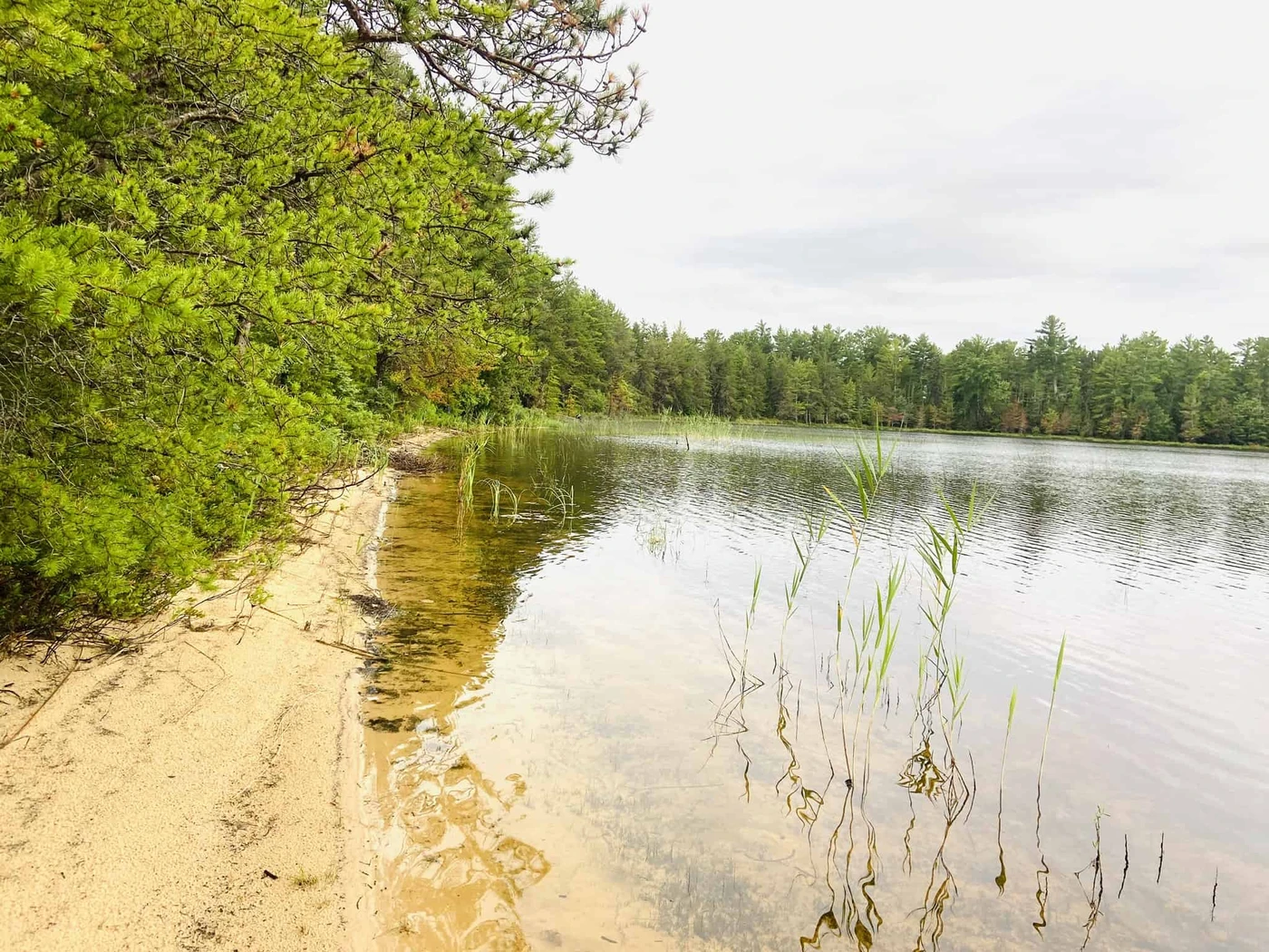 Bodi Lake State Forest Campground