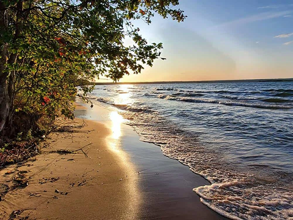 Brimley State Park