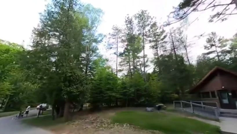 Harrisville State Park
