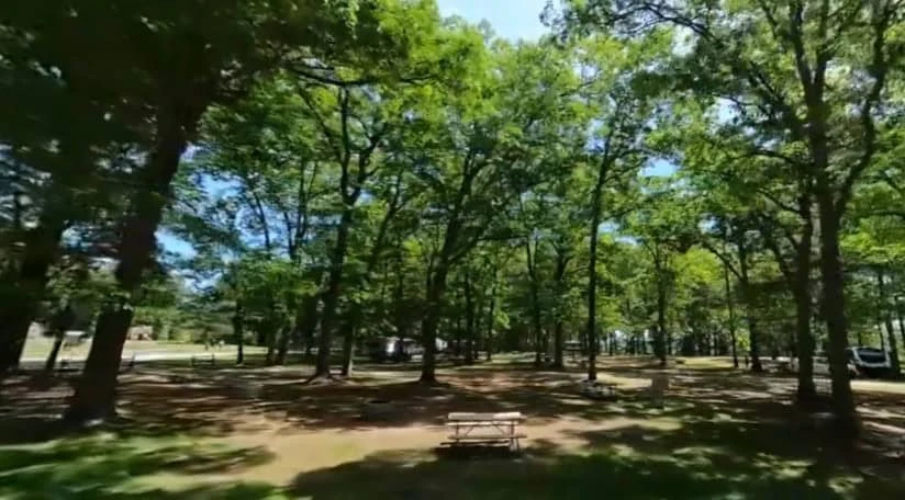 Pinckney Recreation Area