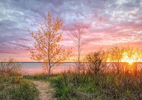 Tawas Point State Park