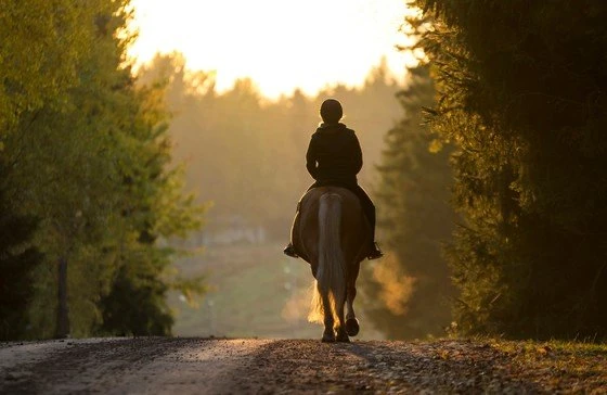 Governor Dodge State Park - Equestrian Campground