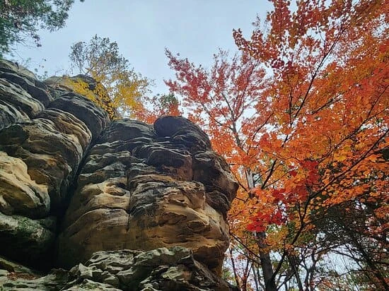Mill Bluff State Park