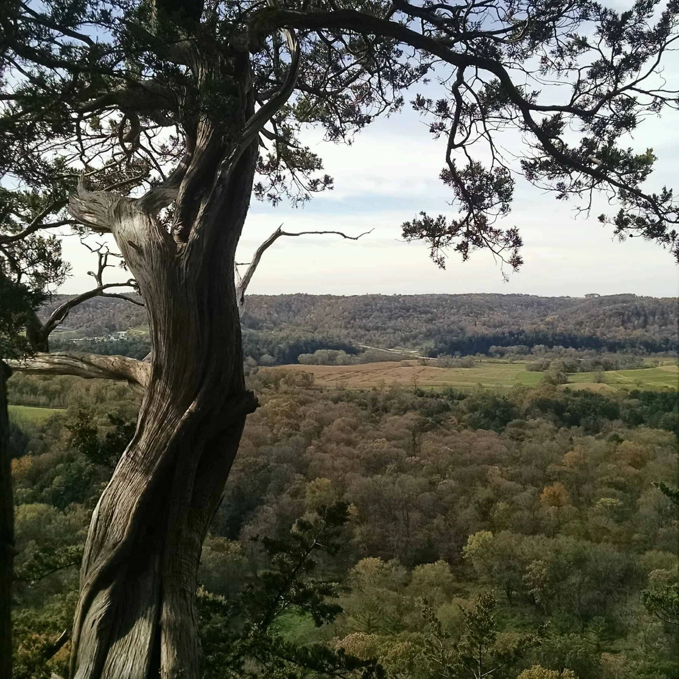 Wildcat Mountain State Park