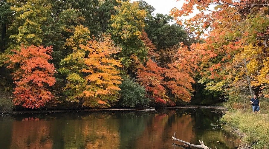 Stephen A. Forbes State Recreation Area