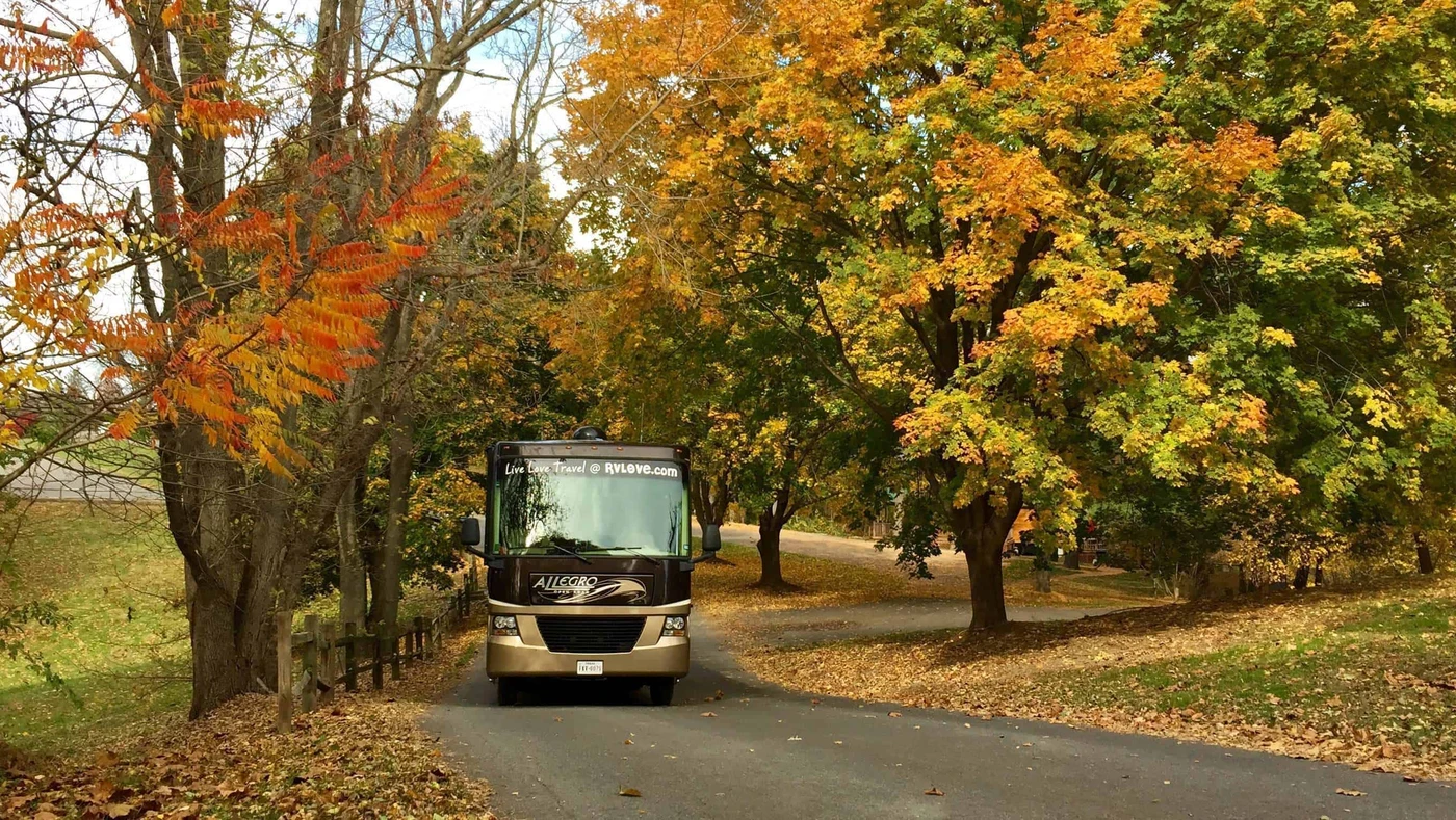 Circle M RV and Camping Resort