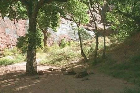 Hunter Canyon/Spring Camping Area