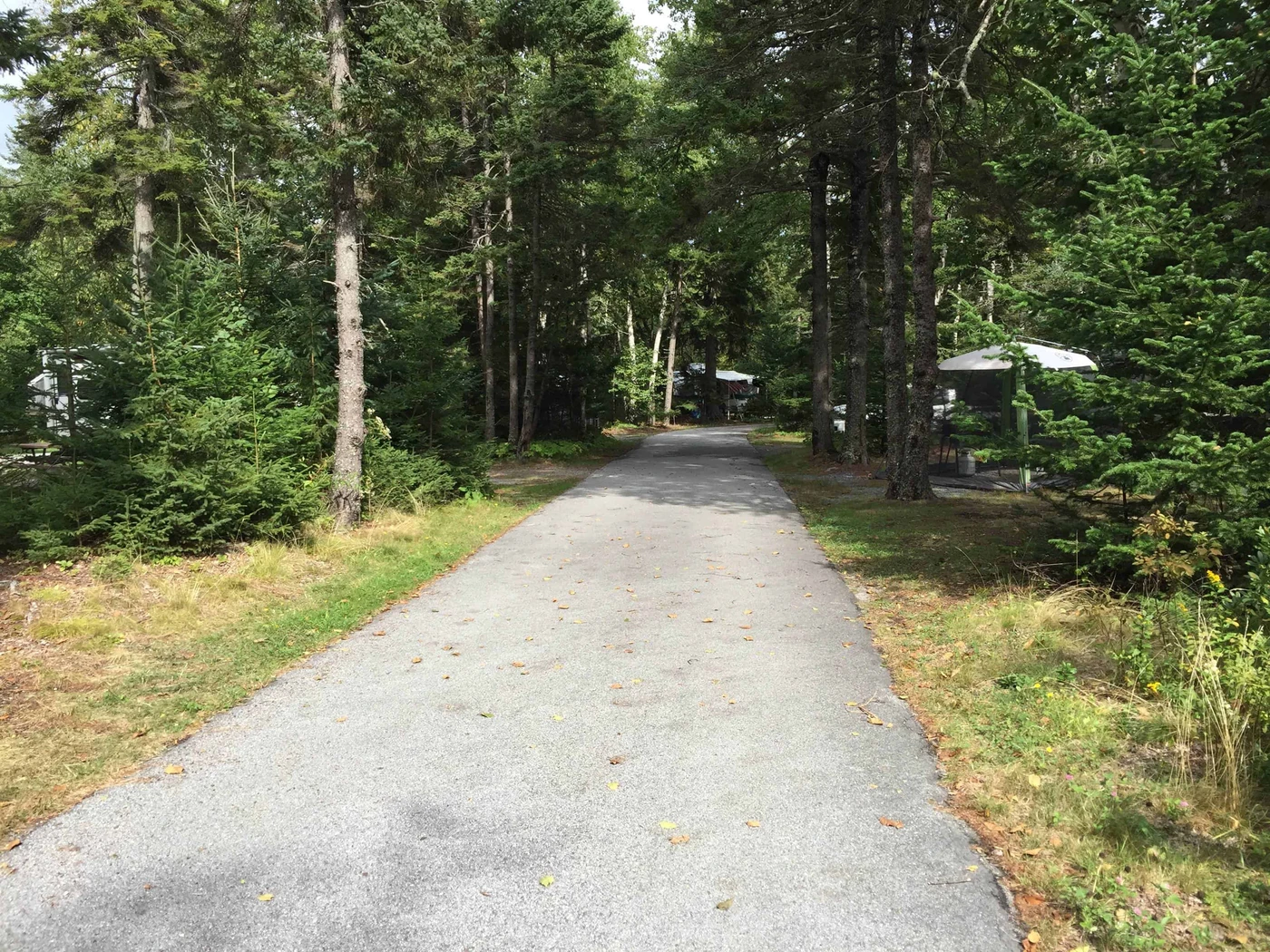 Seawall Campground