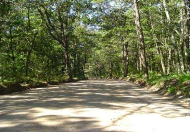 Sweetwater Forest