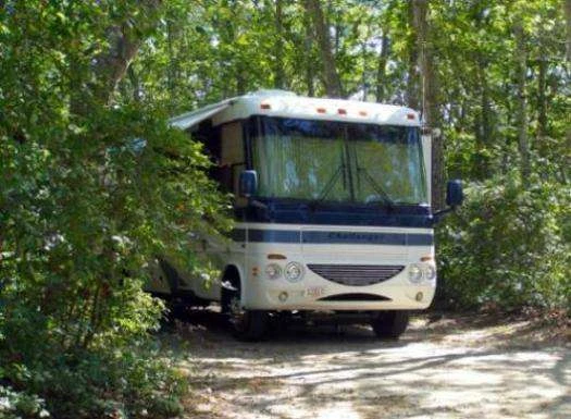 Sweetwater Forest