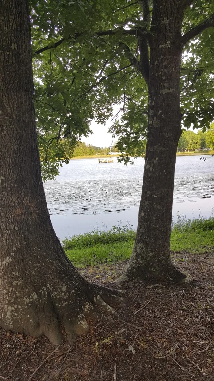 Williamson Mobile Home Estates and RV Park